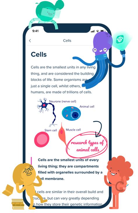 studymarter|How the StudySmarter App Works: Flashcards,。